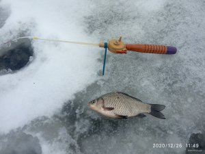 IMG_20201226_114929.jpg