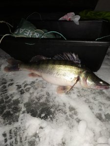 IMG_20201227_000928.jpg
