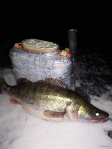 IMG_20201227_004228.jpg