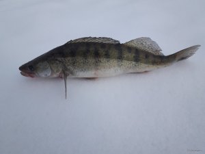 20201227_071528.jpg