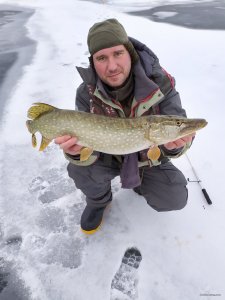 IMG_20201227_094702.jpg