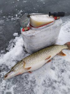 IMG_20201227_095743.jpg