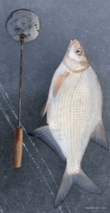 20201227_130531.jpg