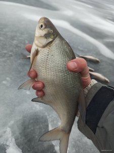 IMG_20201226_093844.jpg