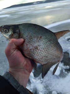 IMG_20201226_182715.jpg