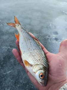 IMG_20201226_125919.jpg