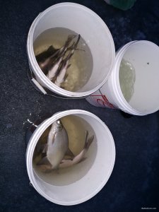 IMG_20201227_160331.jpg