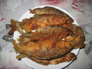 IMG_4641.JPG