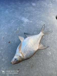 IMG_20201228_104658.jpg