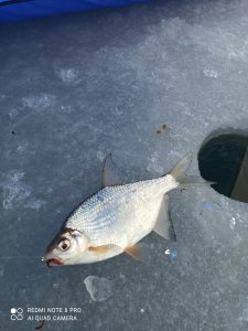 IMG_20201228_125122.jpg