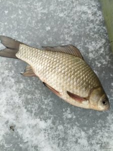 IMG_20201228_145013.jpg