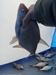 IMG_20201228_183809.jpg