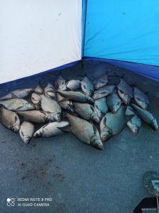 IMG_20201228_142546.jpg