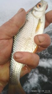 IMG_20201219_111334.jpg