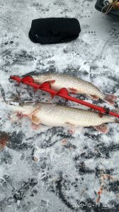 IMG_20201219_121402_HDR.jpg