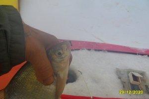 SAM_2008.JPG