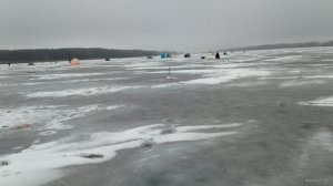 IMG_20201229_185233_341.jpg