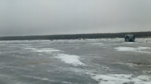 IMG_20201229_185221_537.jpg