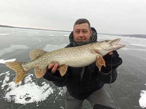IMG_20201225_084728.jpg