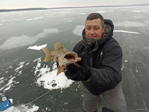 IMG_20201225_084732.jpg
