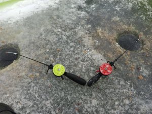IMG_20201225_114625.jpg