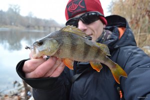 DSC_0092.jpg