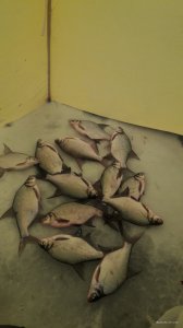 20201230_135044.jpg