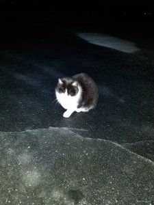 20201227_051224.jpg