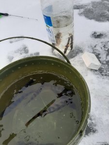 20201227_082836.jpg