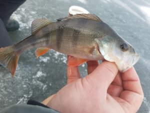 20201227_142903.jpg