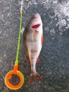 20201227_142831.jpg