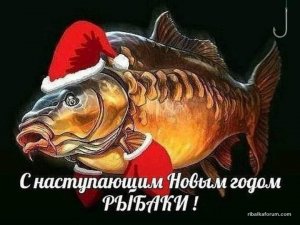 IMG-c5c84470361ff6b4000e5818016647d3-V.jpg
