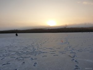 20201227_081021.jpg