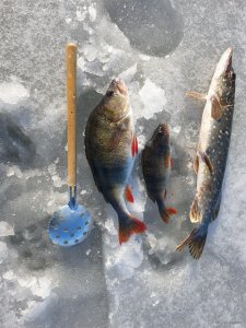 20201227_123222.jpg