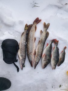 20201227_154456.jpg