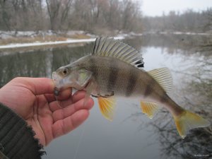 IMG_4676.JPG