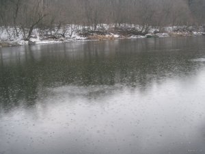 IMG_4680.JPG