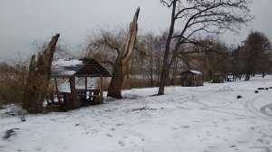 IMG_20201230_140600.jpg