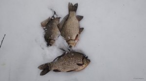 IMG_20201230_144424.jpg
