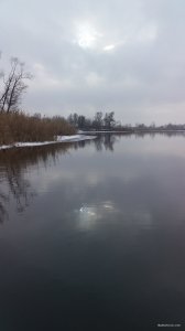 20201230_125946.jpg
