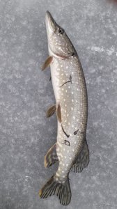 20201230_101712.jpg