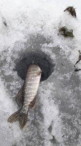 20201230_084516.jpg
