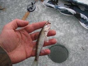 IMG_8960.JPG