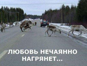 avtotyuni.jpg