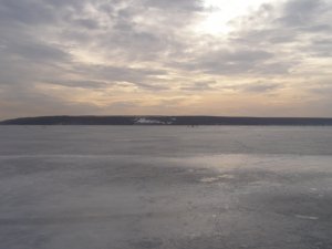 P1010553.JPG