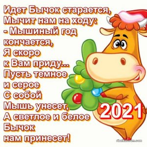 IMG-6b8e28b048b8fbafe9878ff14e55c58e-V.jpg