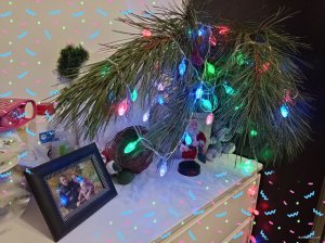 IMG_20201231_194853.jpg