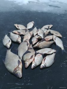 IMG_20201231_153443.jpg