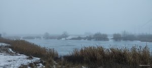 IMG_20210101_075507.jpg