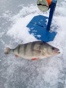 IMG_20210101_082937.jpg